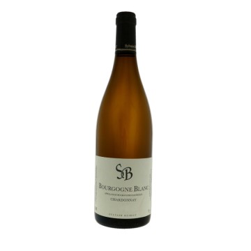 Bzikot, Bourgogne Blanc  2023